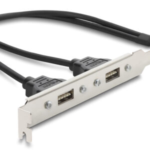 DELOCK κάρτα επέκτασης USB 9pin σε 2x USB 2.0 91800